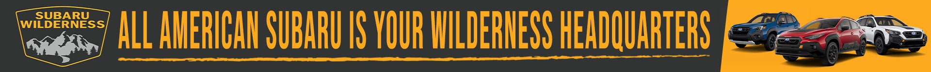 Wilderness Inventory